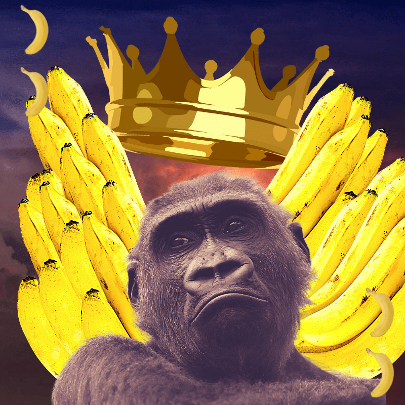 Banana gods #64