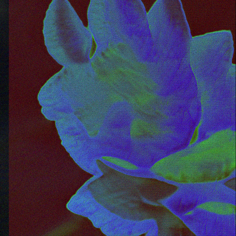 CLDCSMC #109