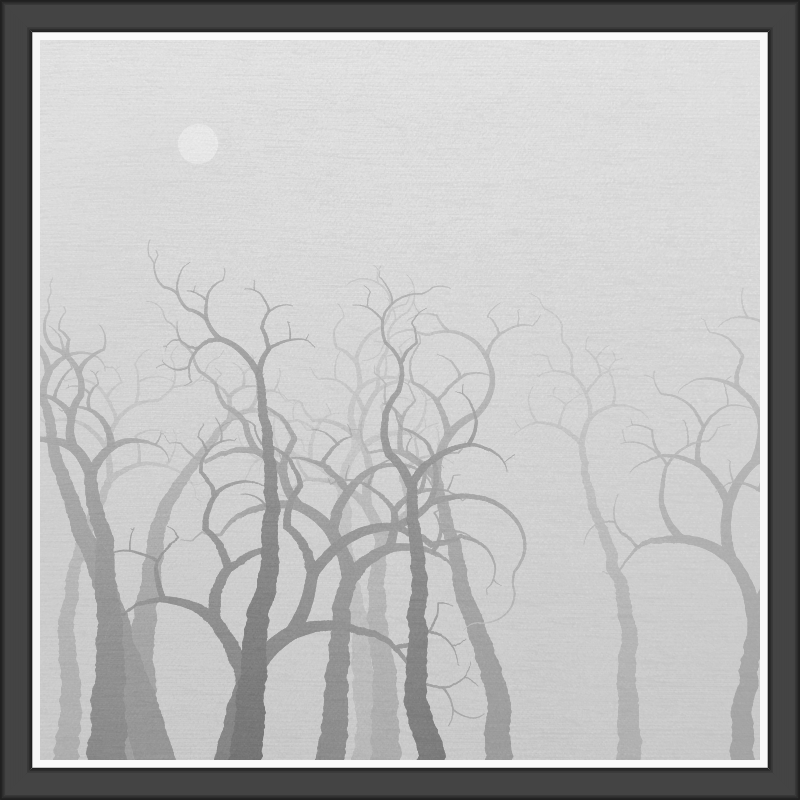 The Foggy Trees #123