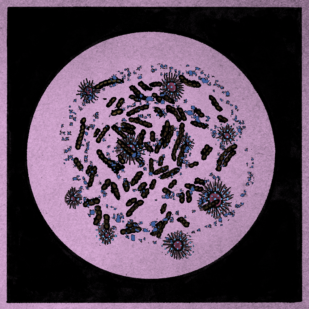 Microbes #65