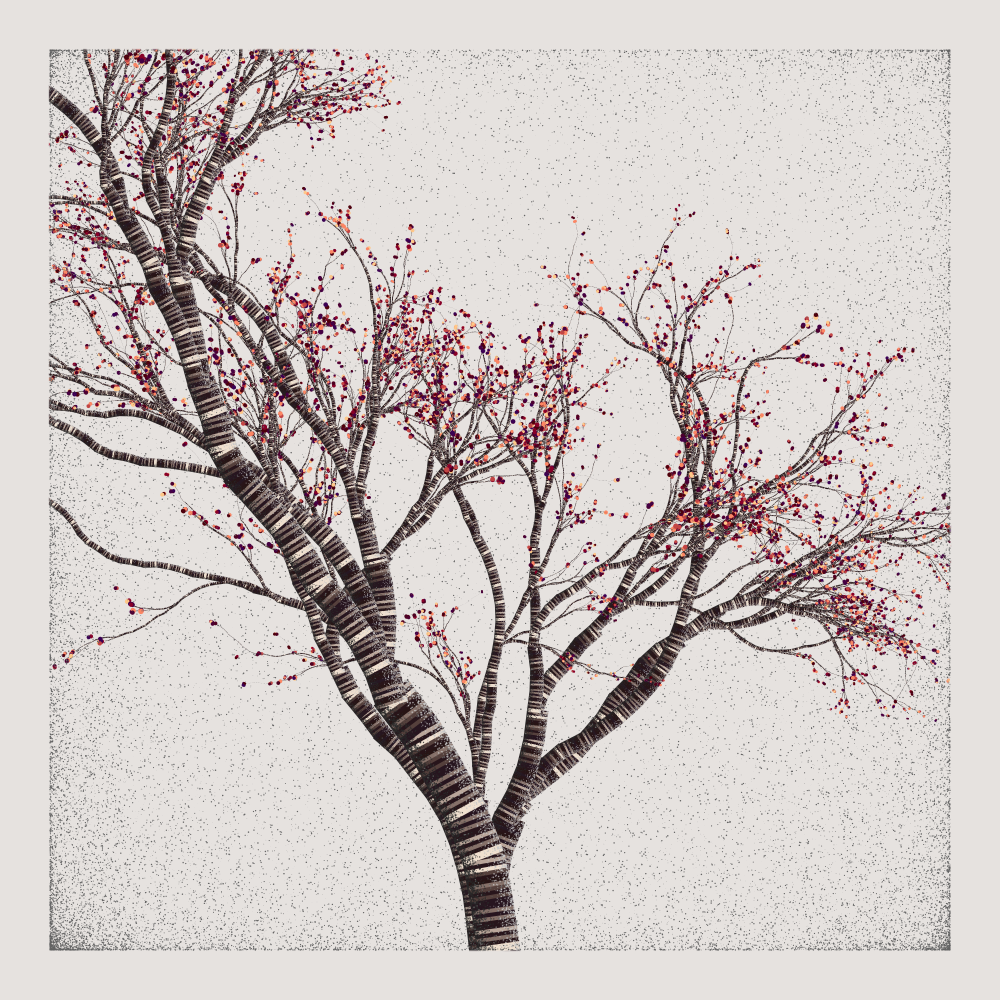 Bougainvillea #138