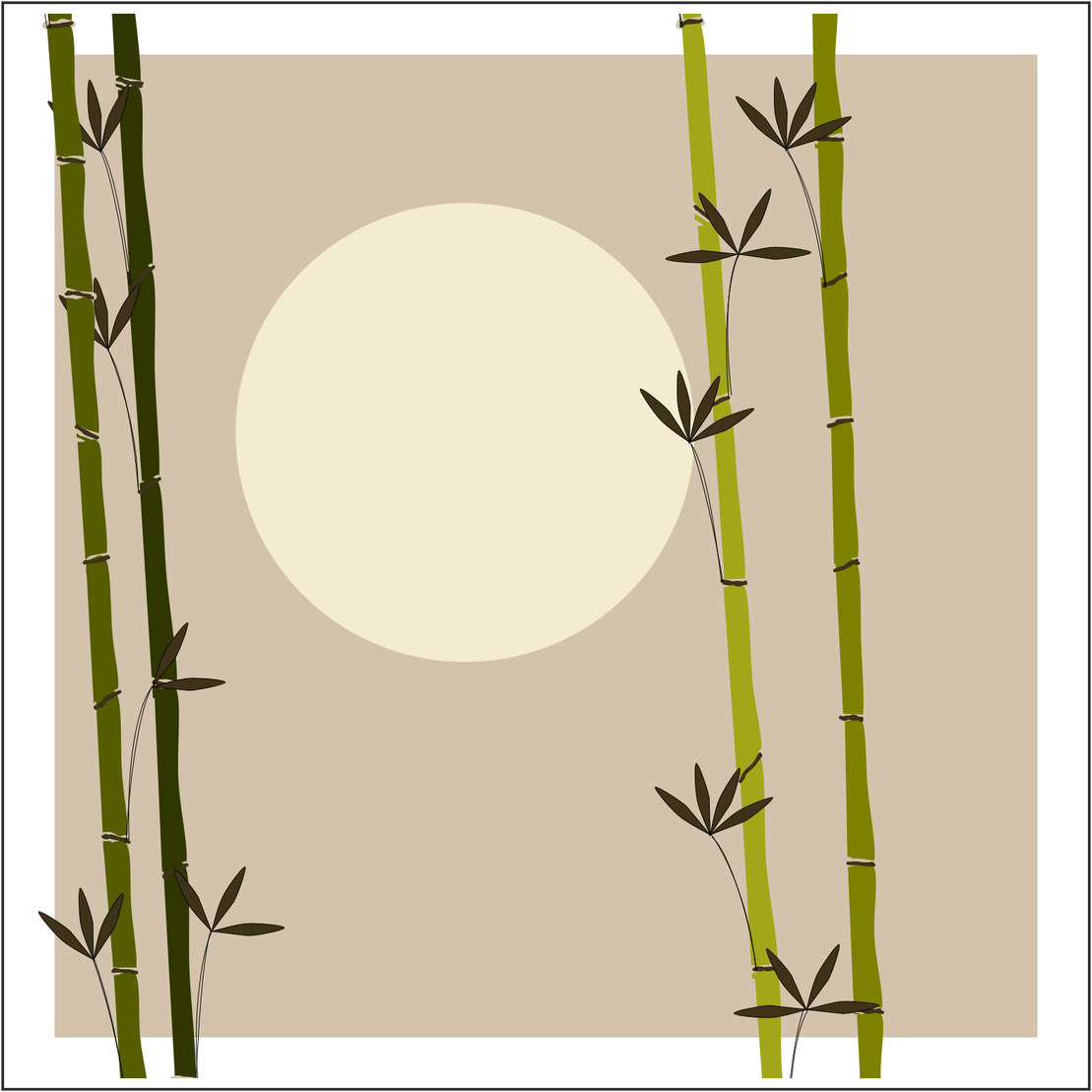 Bamboo and Beyond #12