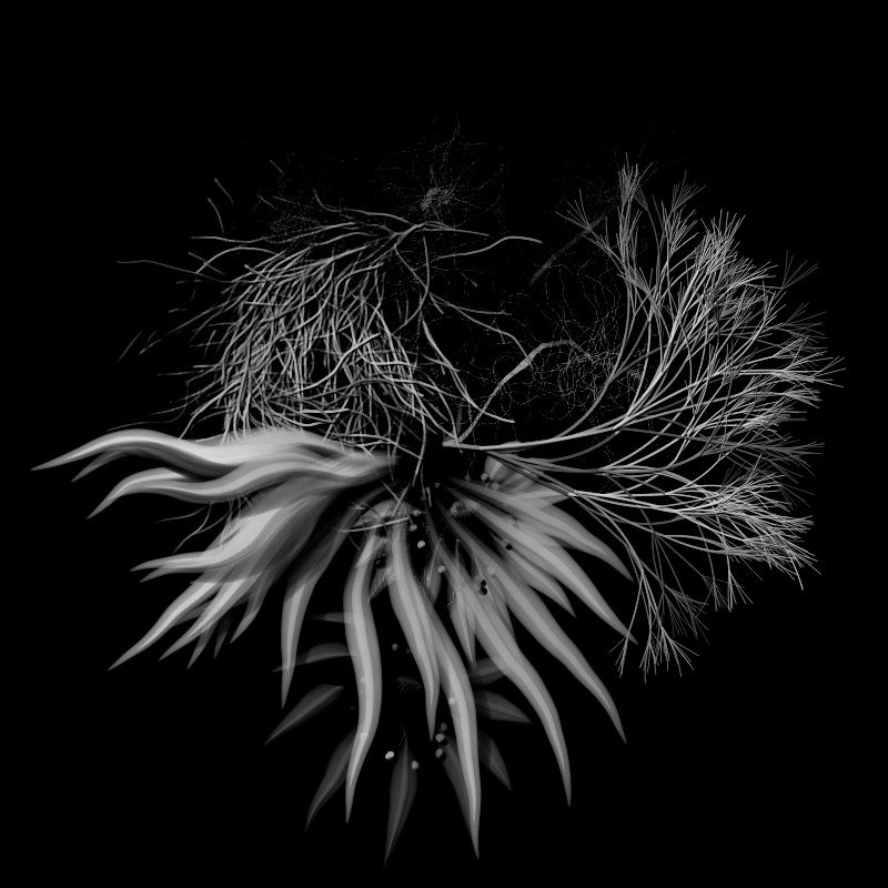 Botanical Ghosts #268