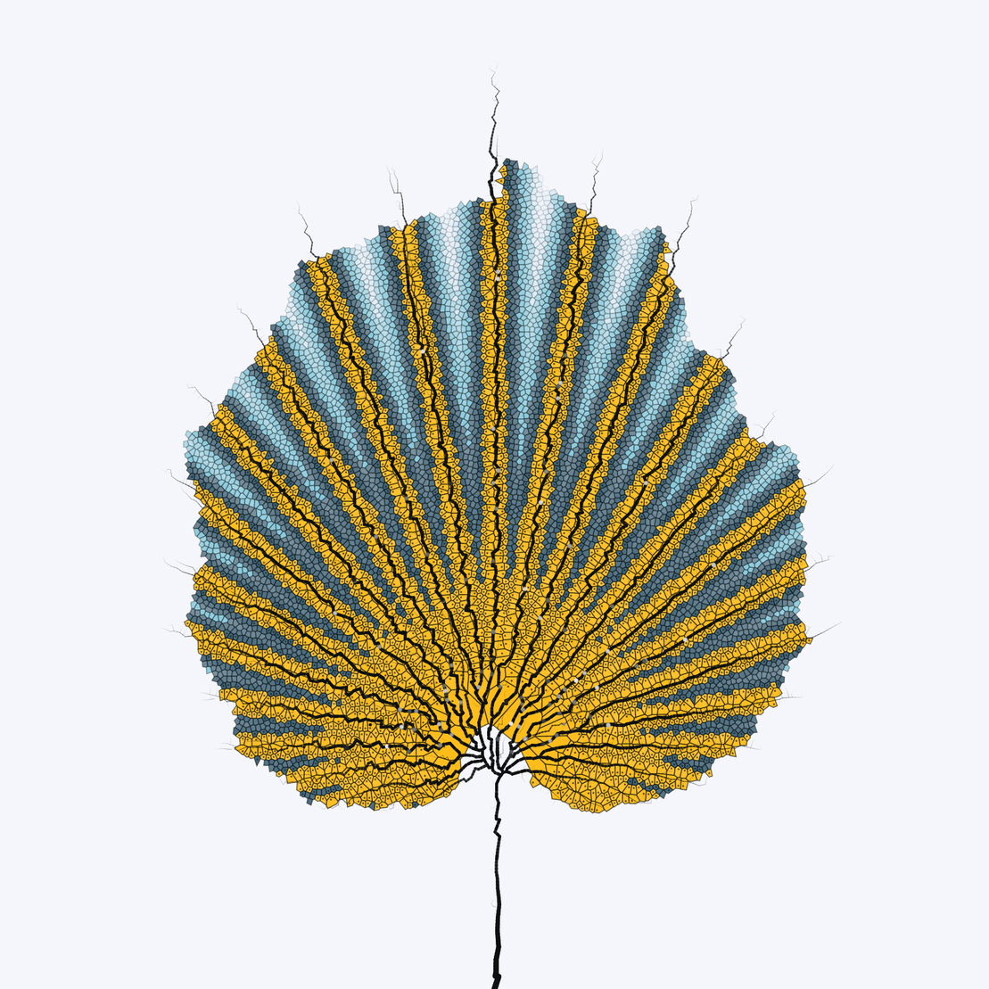 Leaf study #43