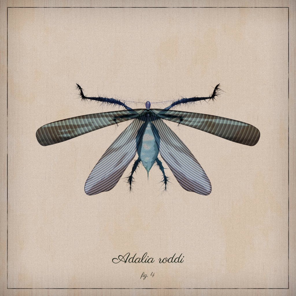 ProcGen Entomology #233