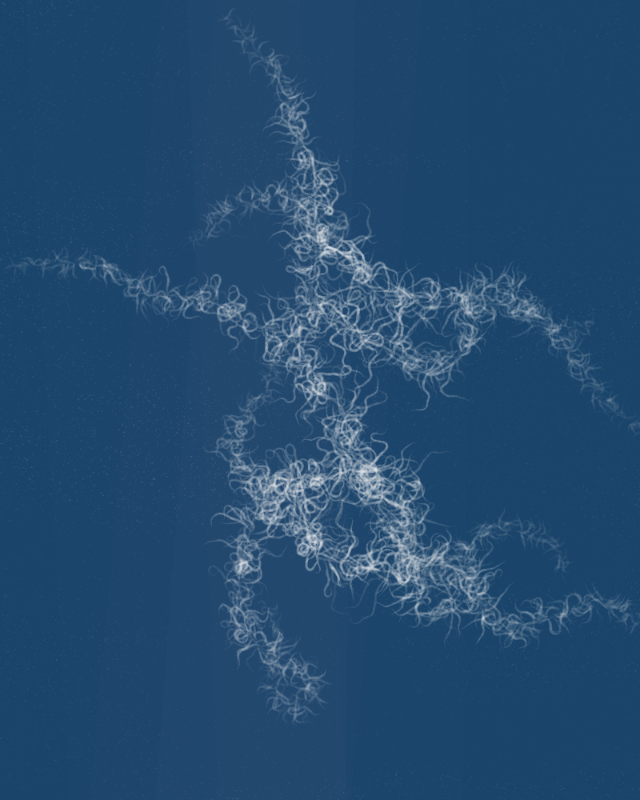 Cyanotypes #96