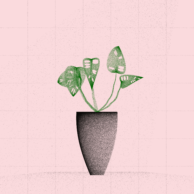 🌱 Potted & Printed #65