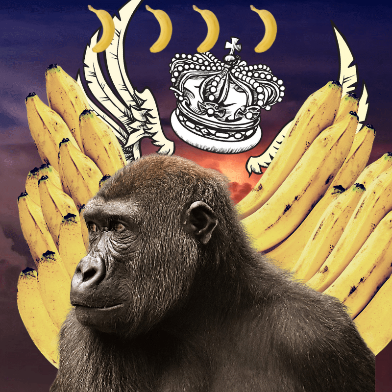 Banana gods #56