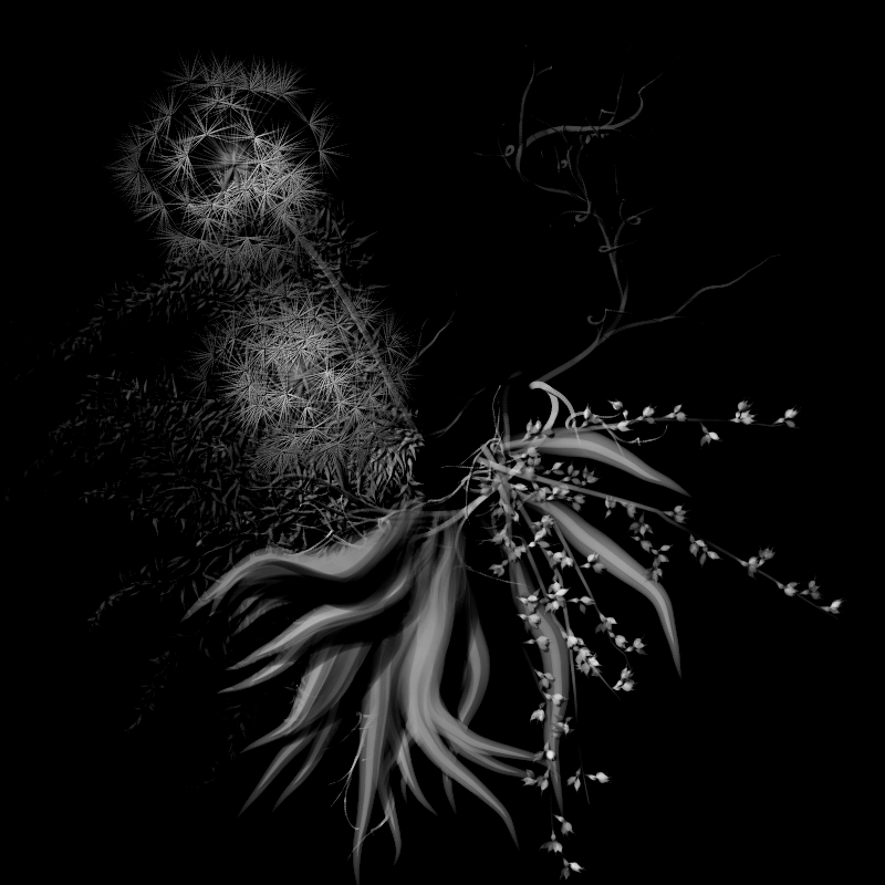 Botanical Ghosts #13