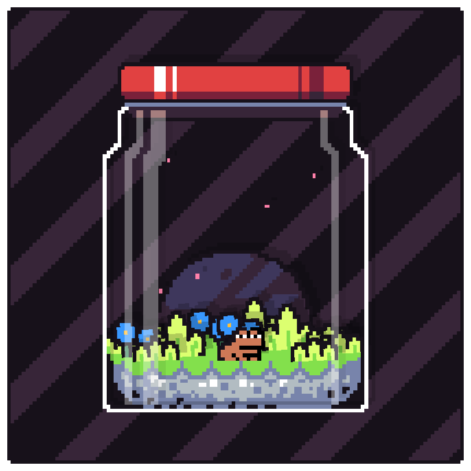 Toad Terrarium #226