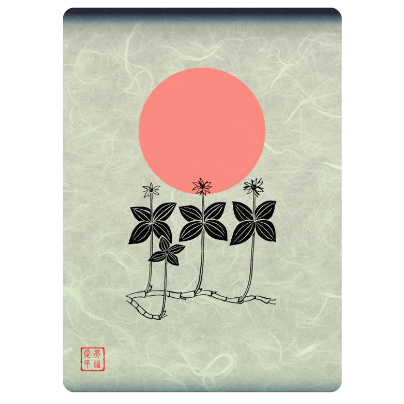 Zen flower card  #25