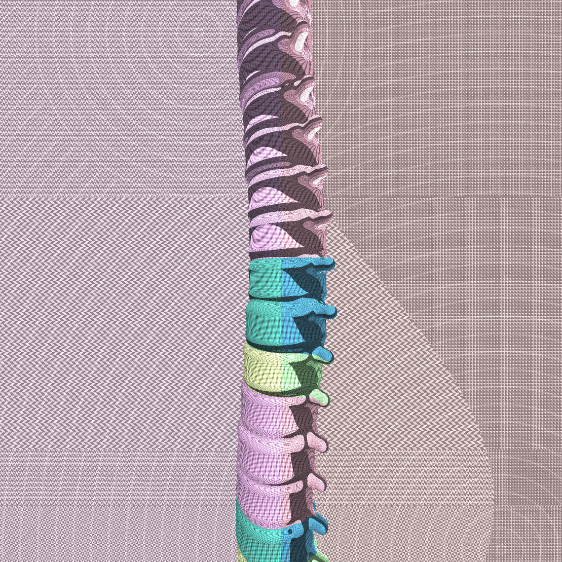 Long, Thin, Tubular Structure #22