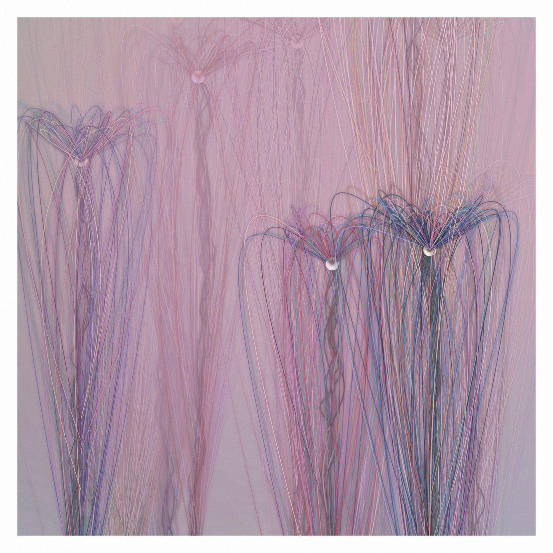 antigen #37