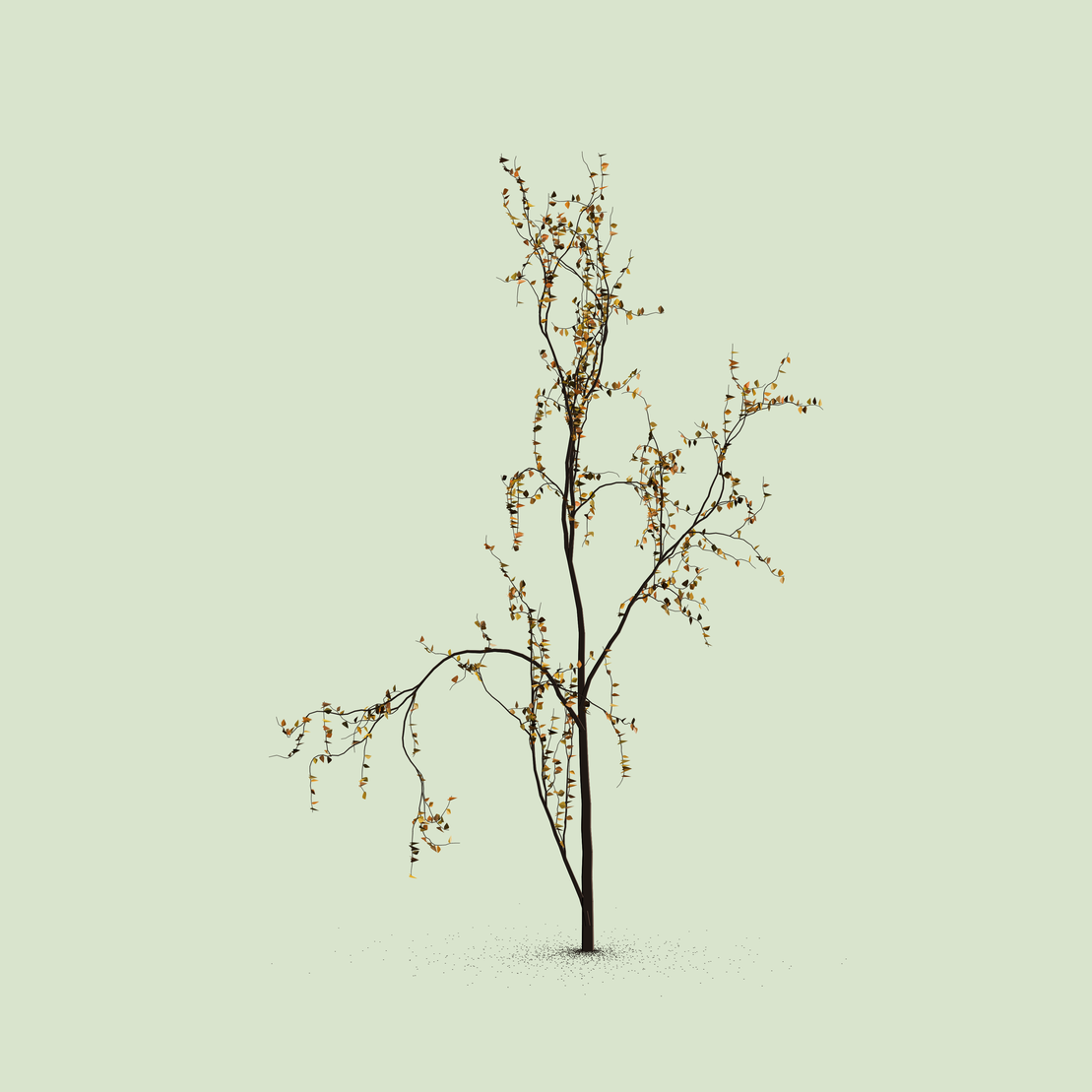 Little Trees #37