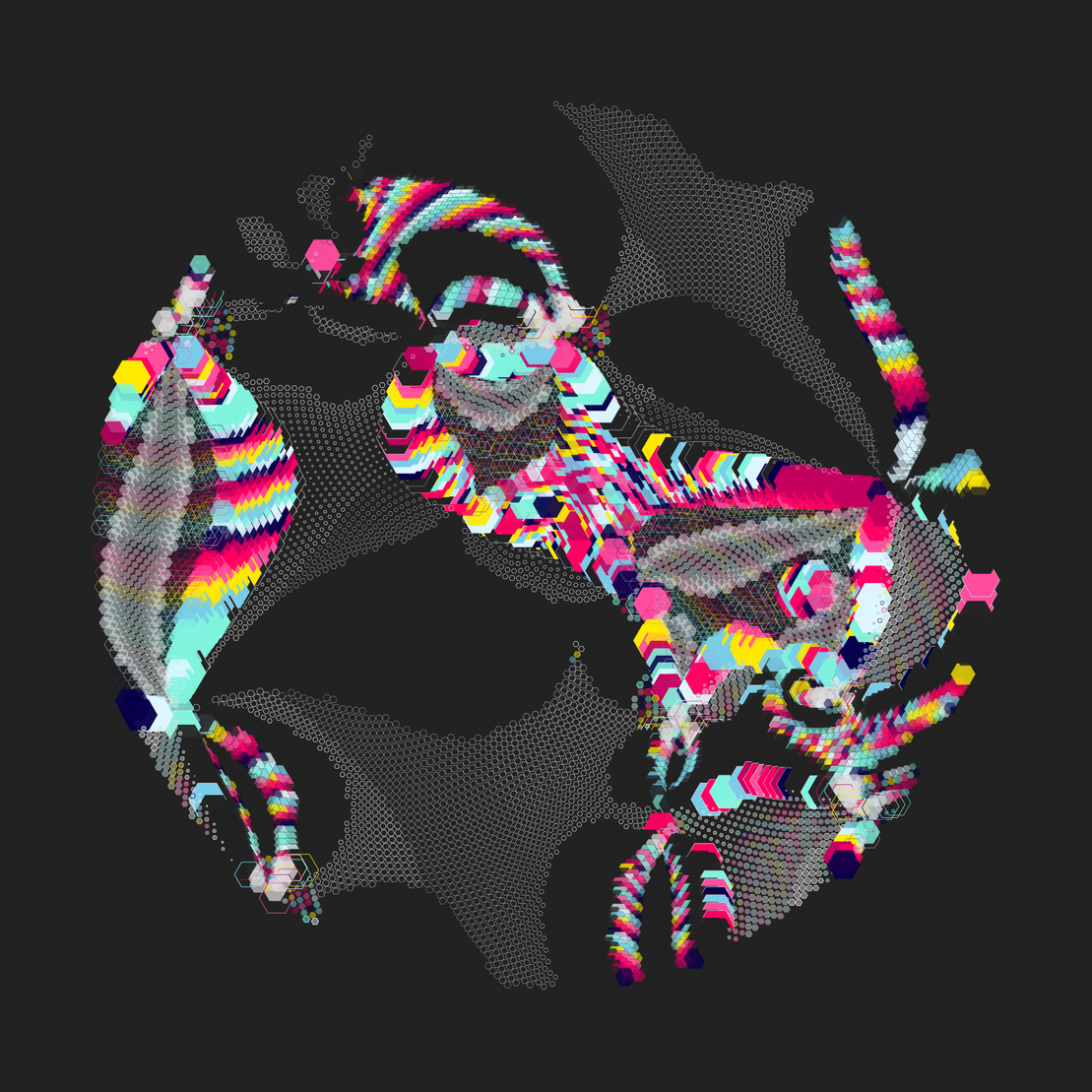 Still C #23326