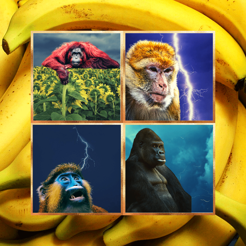 Banana legends #2