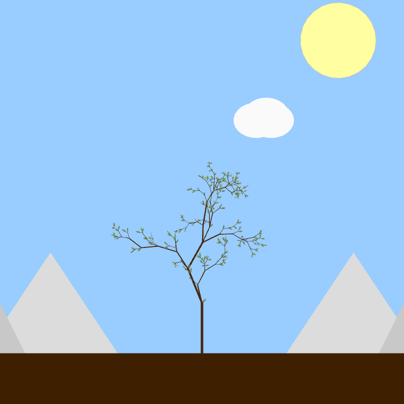 From seedling to tree #6