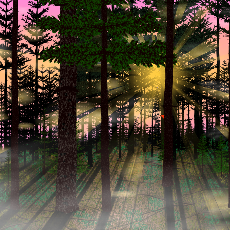 Forest Sunrise #7