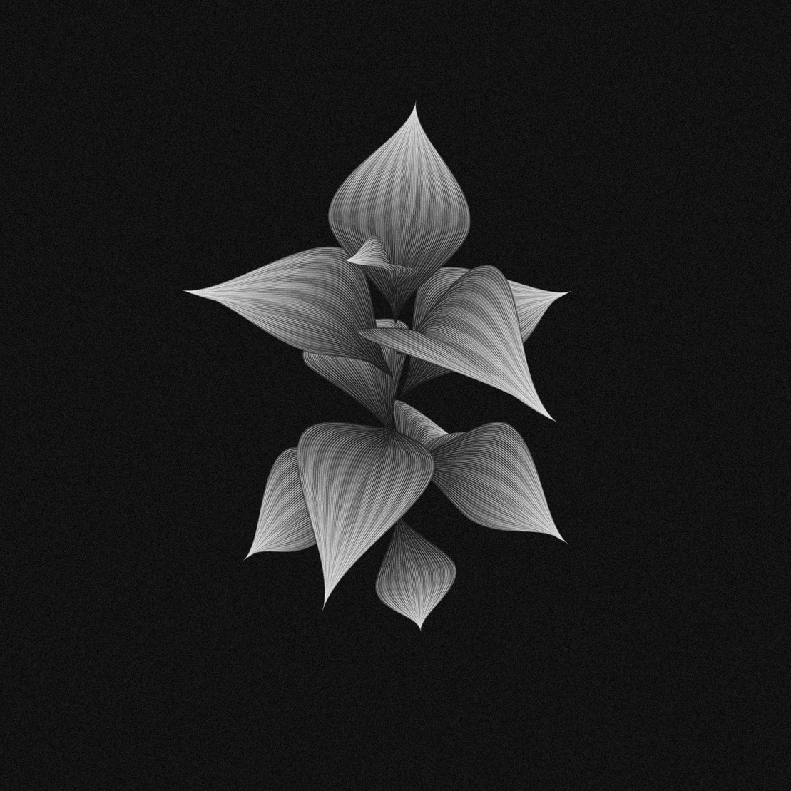 plant #51