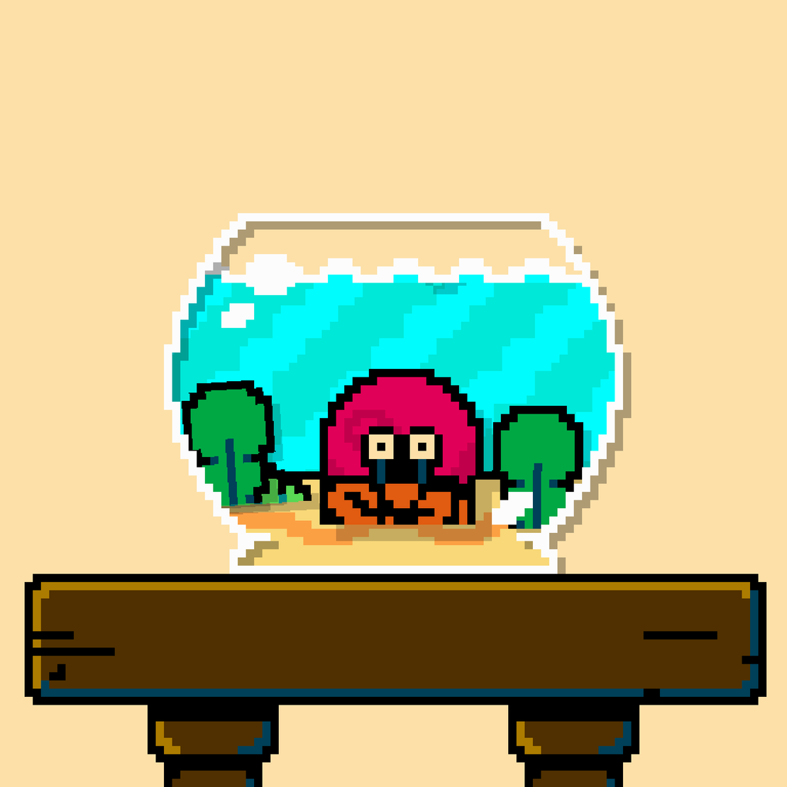 hermit crab #62