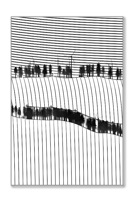 Harmonious Hill #57