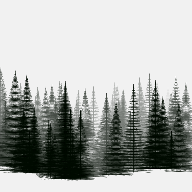 Pine trees in the cold #5