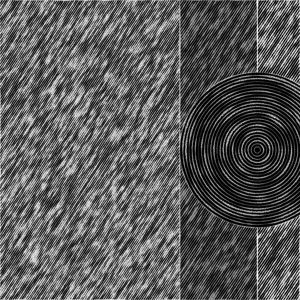 Rings of Order #7