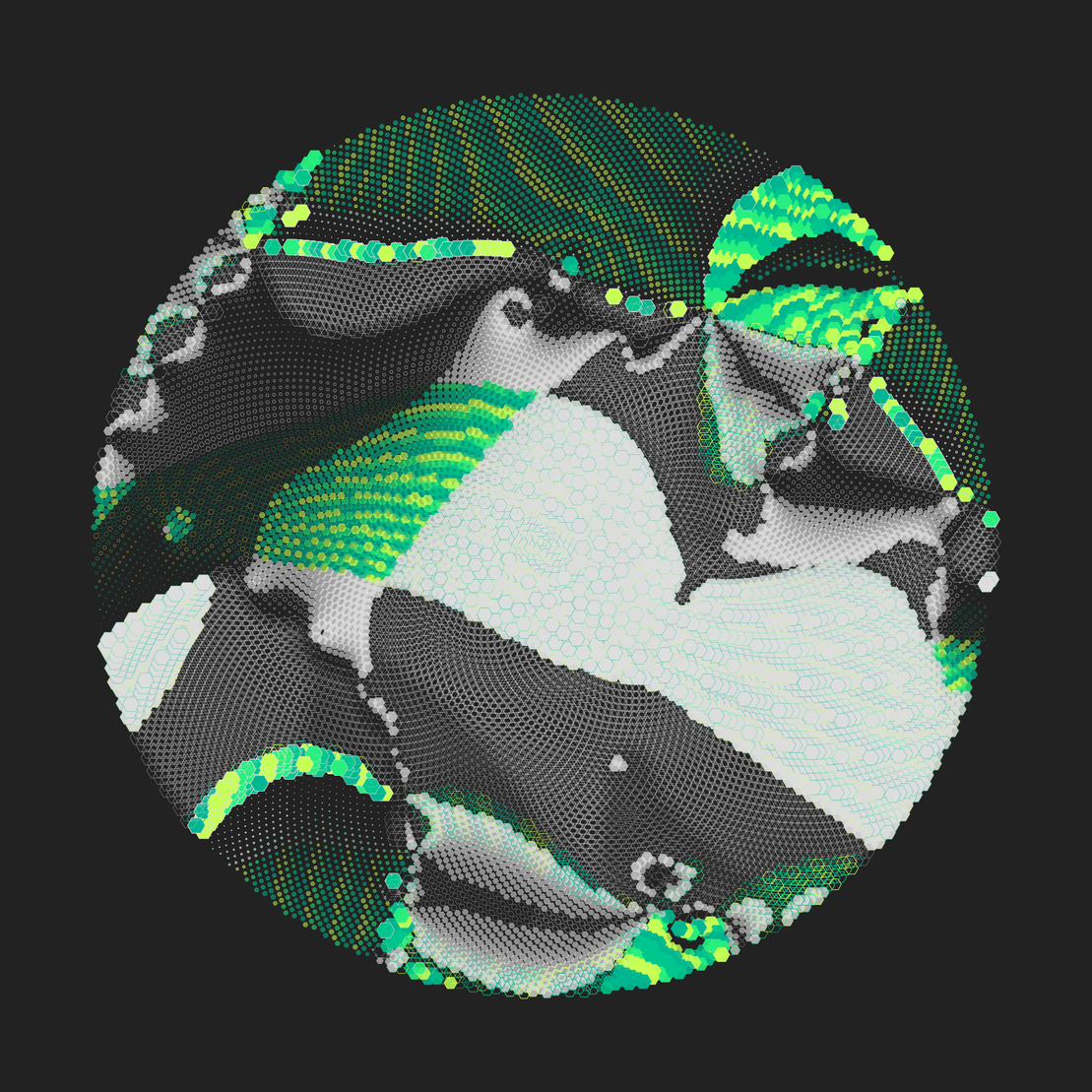Still C #26018