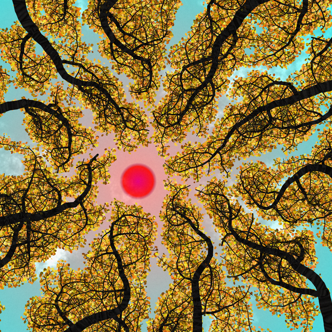 Tree Skyness #87