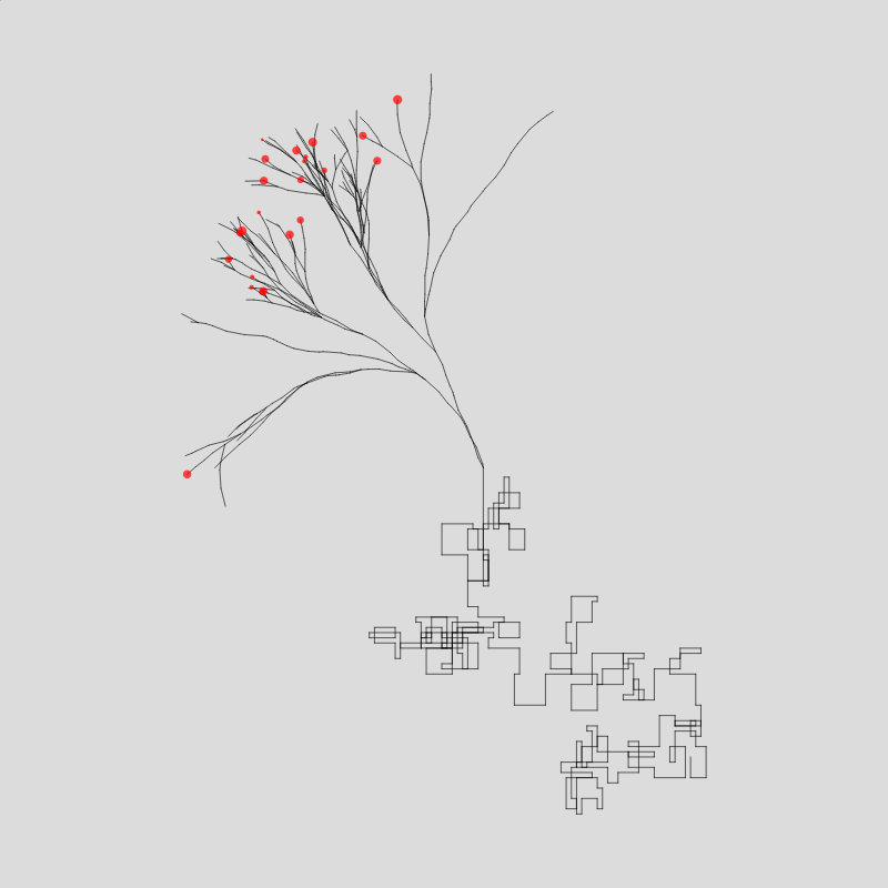 Algorithmic Tree #5