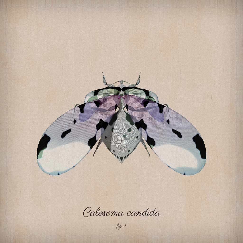 ProcGen Entomology #94