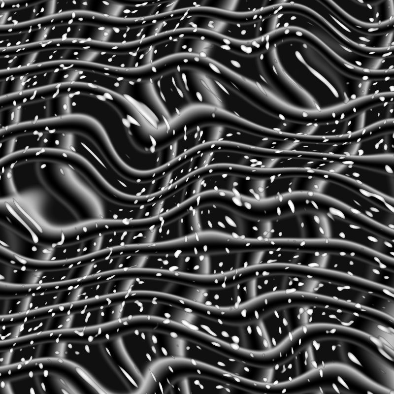 Nucleotide Polymorphism #26