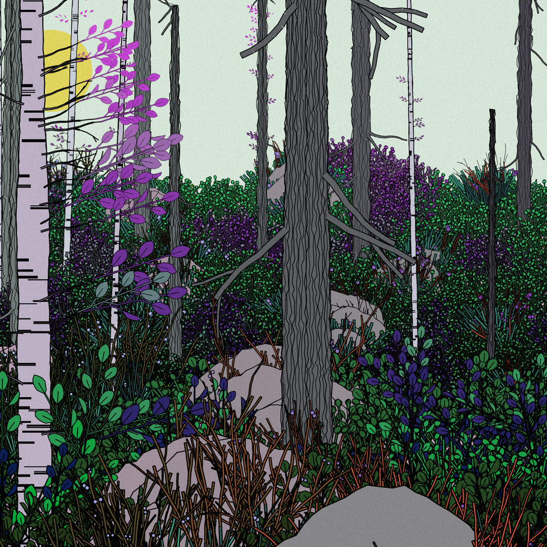 Swedish Forest #93