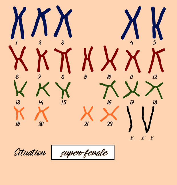 "Karyotype" #18