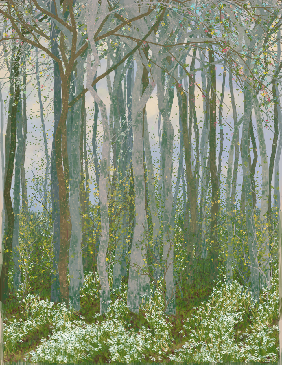 Deep Forest #57