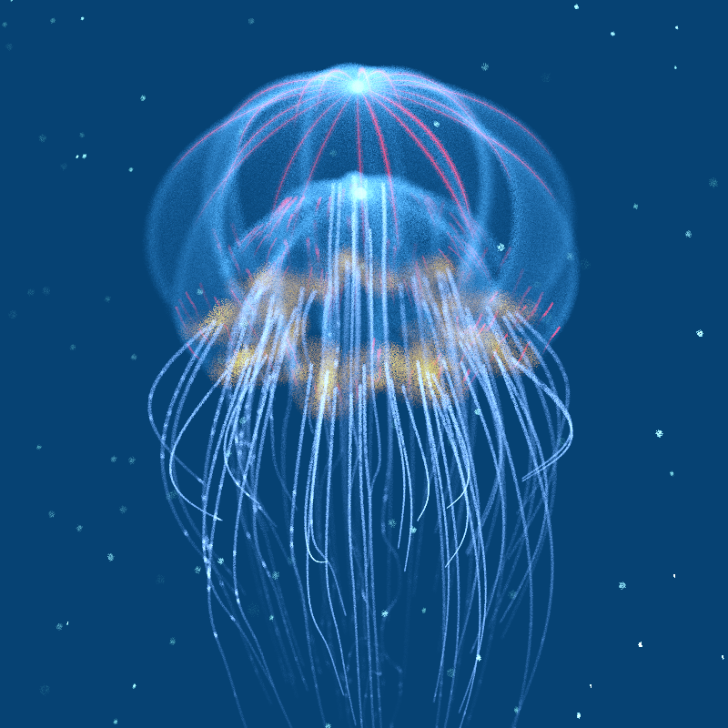 Creatures of the Deep #1 - The Jellyfish #6