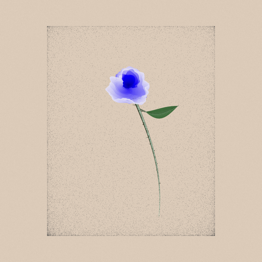Magnolia #2