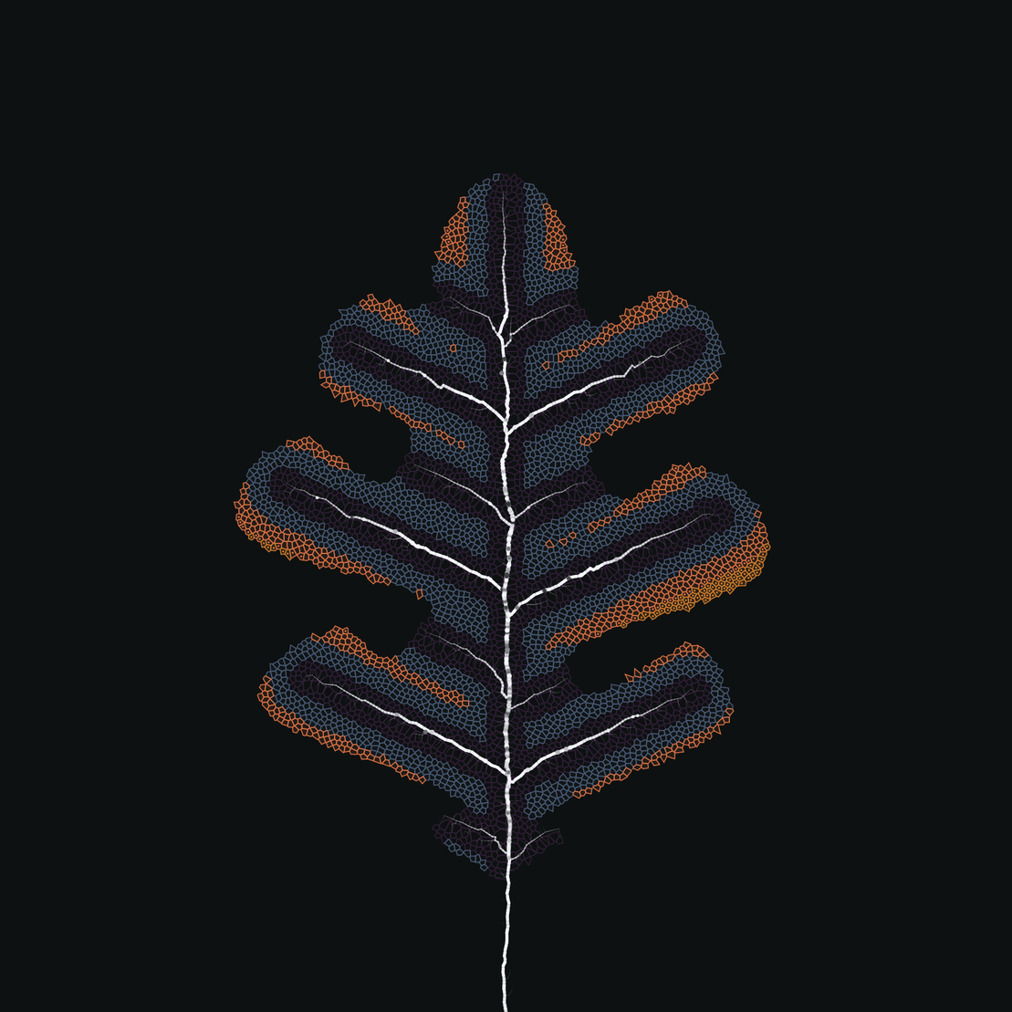Leaf study #34