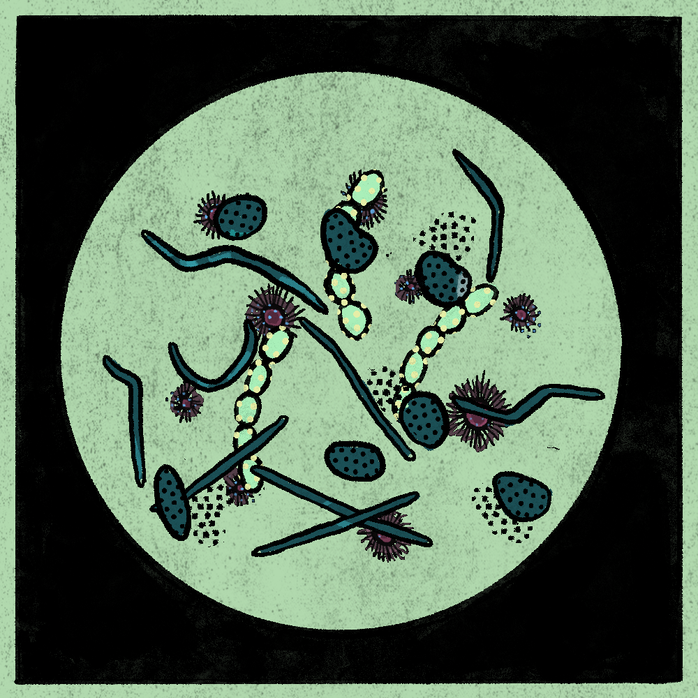 Microbes #227