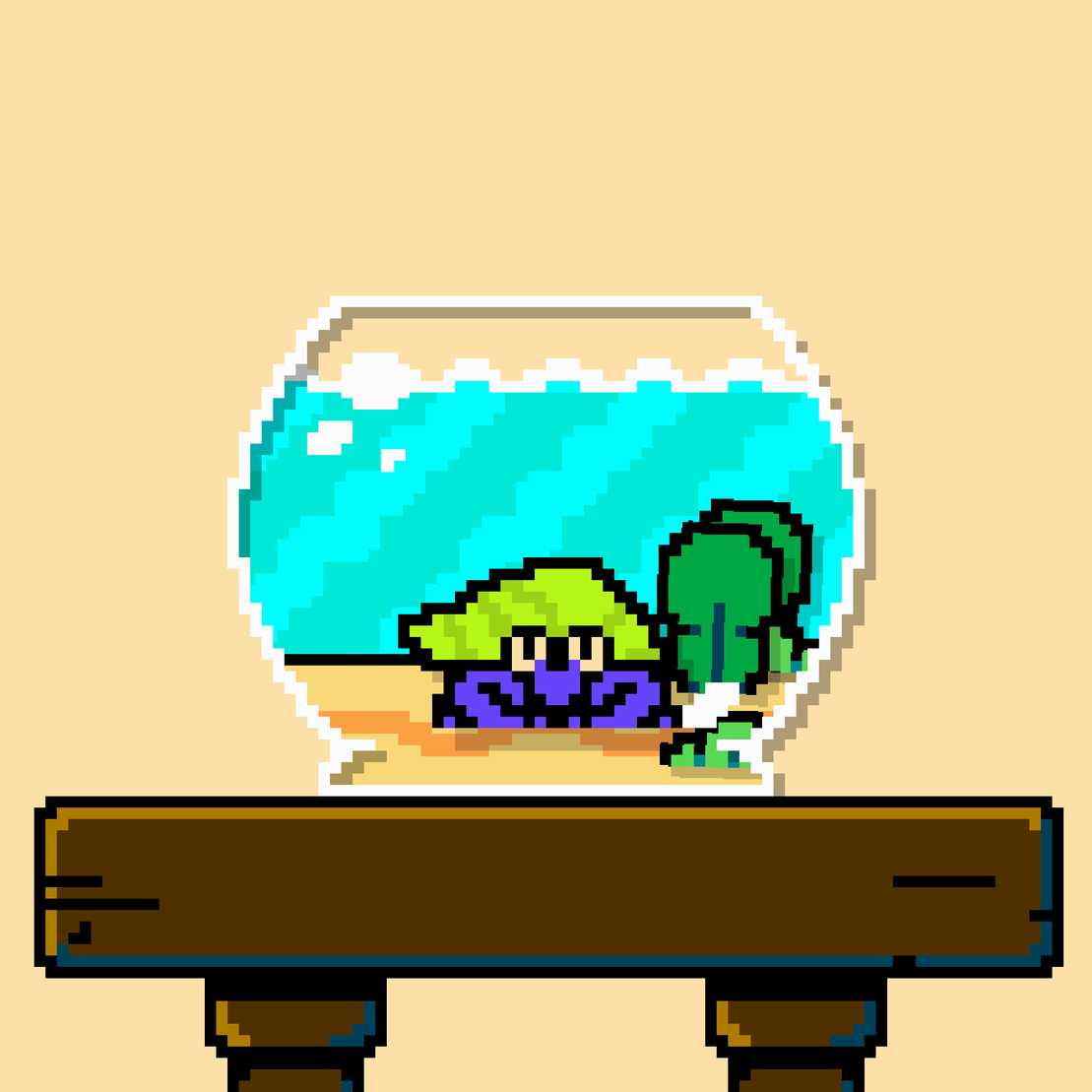 hermit crab #179