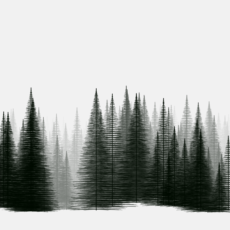 Pine trees in the cold #2