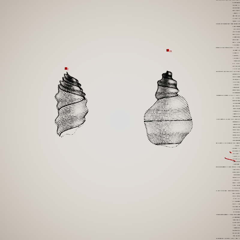 Two Specimen #493