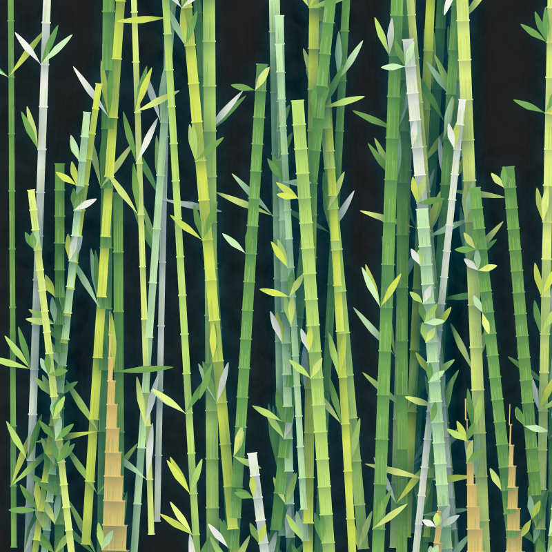 Bamboo01 #32