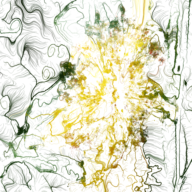 Hypericum #88
