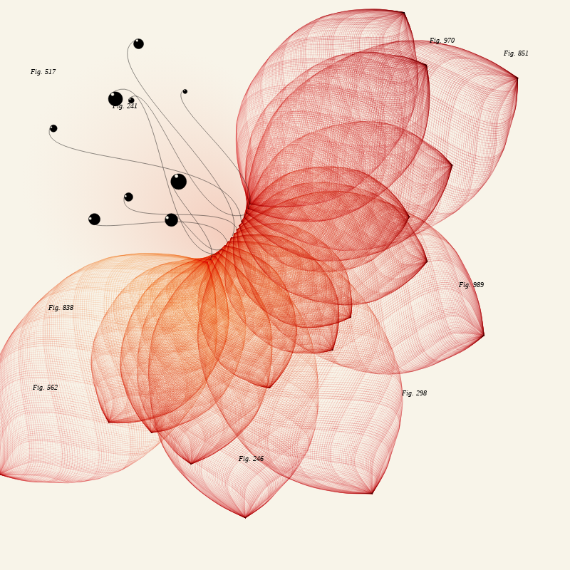 Herbarium #611