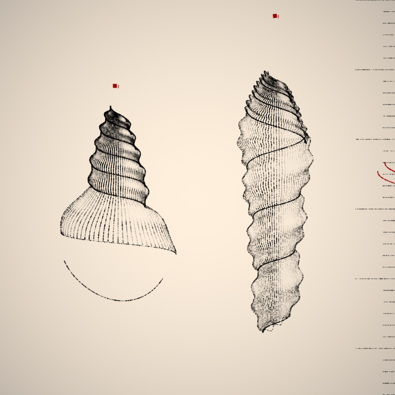 Two Specimen #313