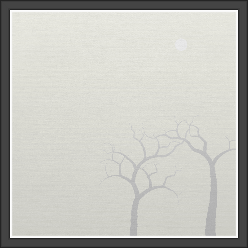 The Foggy Trees #54