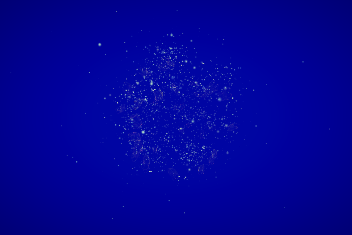 Turtle Vision #130