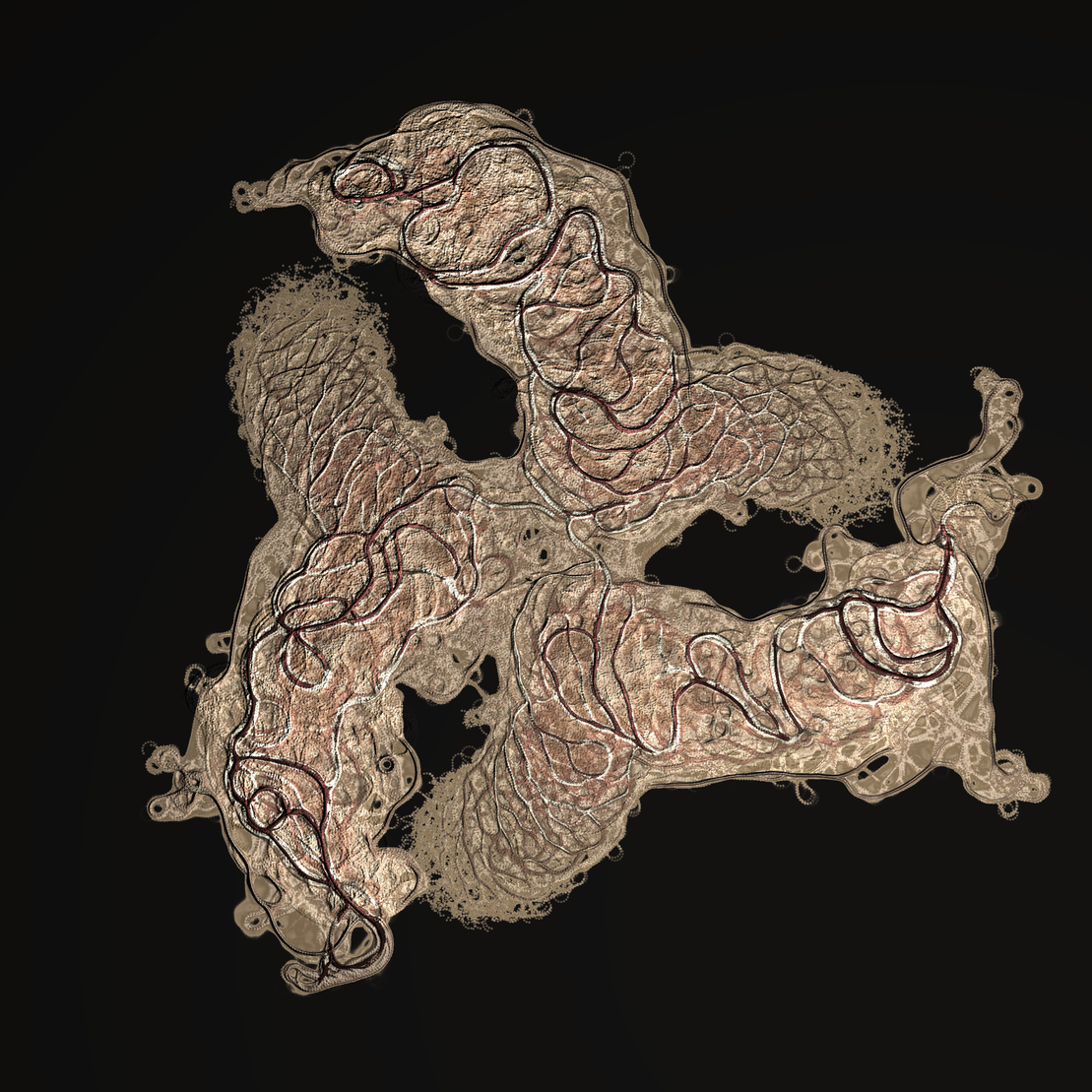 coalescence #116