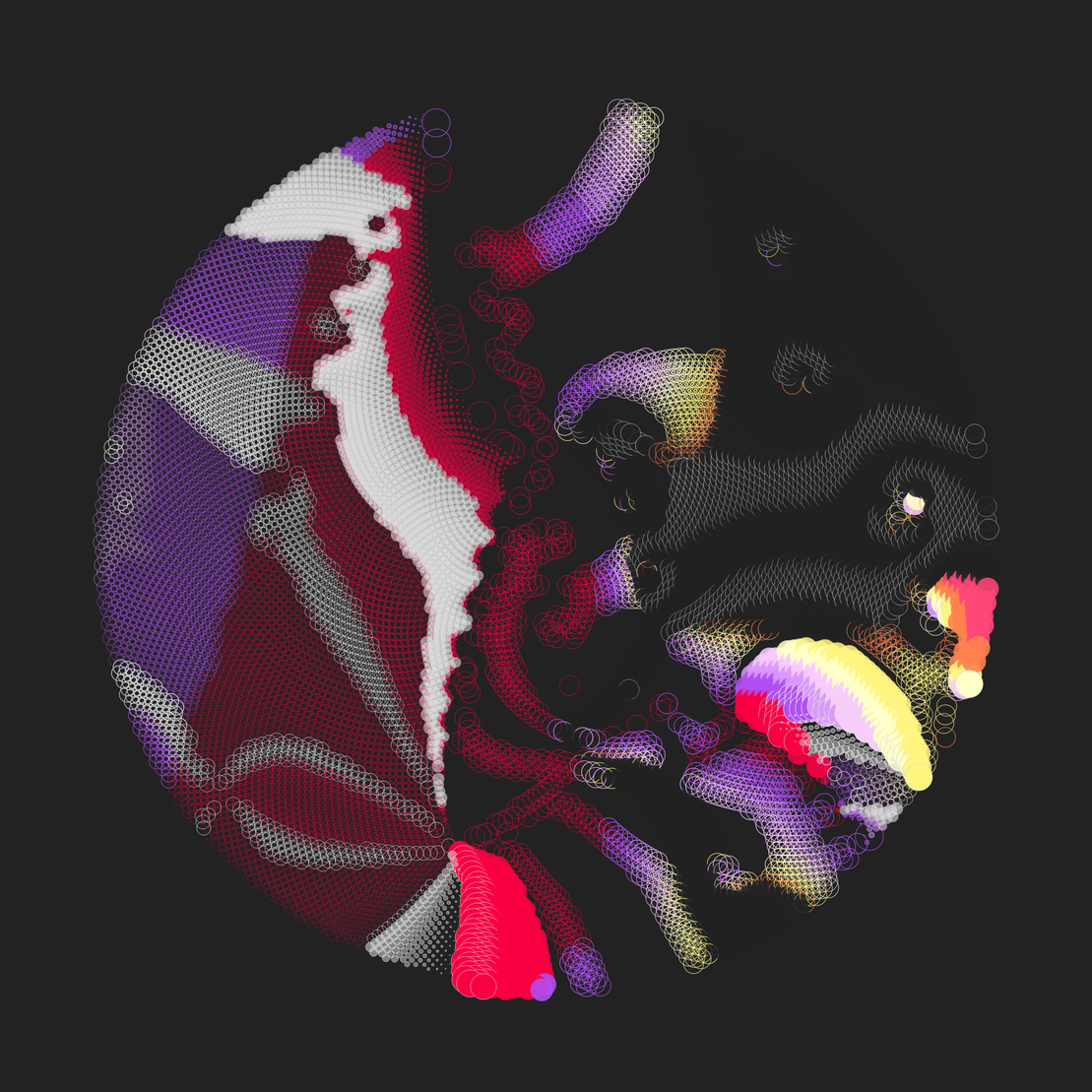 Still C #27463